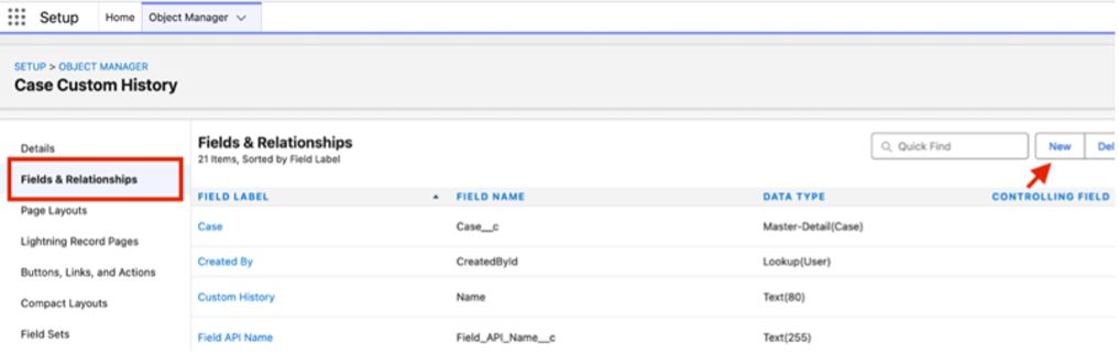 New button in Salesforce Fields and Relationships