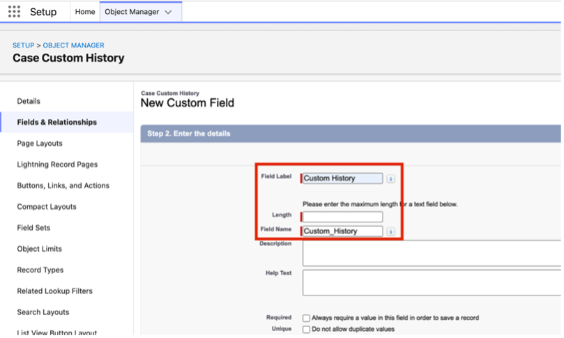 Salesforce custom field details form